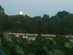 -小王府(什刹海店)