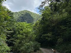 -龙里油画大草原旅游区