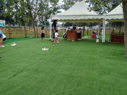 -萌宠亲子动物乐园(槐房万达店)