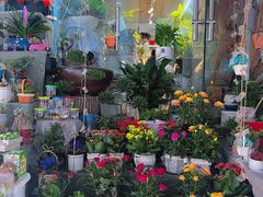 -循礼门鲜花花市(武汉循礼门店)