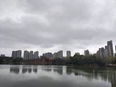 -青枫公园