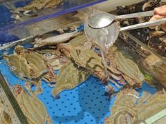 -加餐海鲜自助(宝龙一城店)
