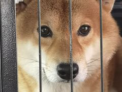 -万福城商业广场