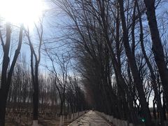 -东郊湿地公园