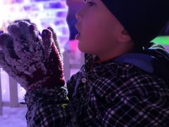 -世界之窗阿尔卑斯冰雪世界