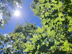 -北京鹫峰国家森林公园