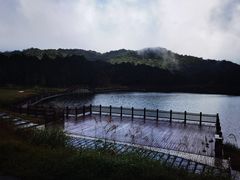-海南热带雨林国家公园吊罗山景区