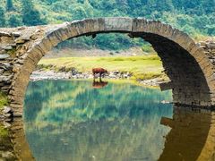 -婺源风景区
