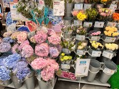 -盒马鲜生(岭南新世界店)