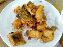 -新合益乡村农庄