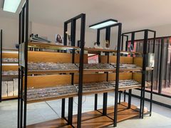 -五派眼镜(沙河店)