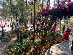 -广州市石门国家森林公园