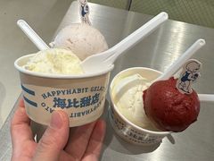 -海比甜店·意式手工冰激淋happy habit gelato