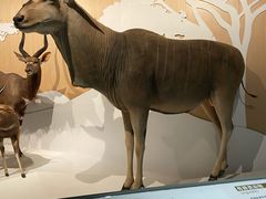 -陕西自然博物馆