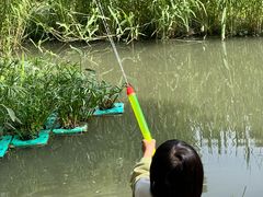 -苏州河梦清园环保主题公园