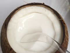 -椰爺爺·椰子冻砵仔糕