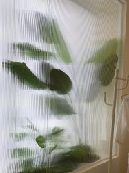 -OAE日式皮肤管理お肌の