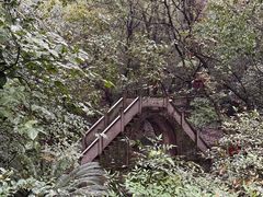 -宁波市保国寺古建筑博物馆