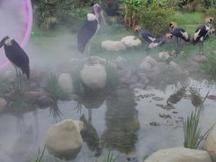 -宁波野生动物园