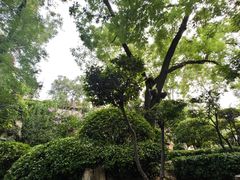 -环城公园