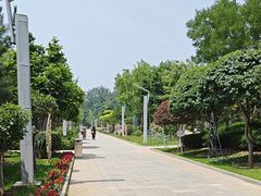 -南宫五洲植物乐园