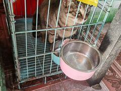 -老地方面馆(思南路店)