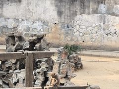 -太子山公园(园东路)