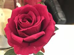 -西山人家·二十年老字号农家菜(旺山店)