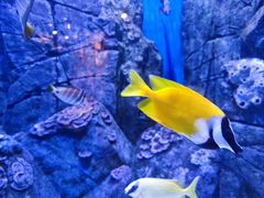 -成都浩海立方海洋公园