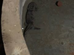 -山间农家