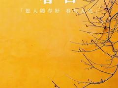 -慧因高丽寺