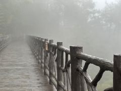 -千岛湖天屿景区