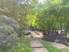 -广州白江湖森林公园