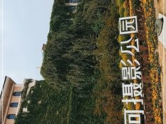 -府河摄影公园