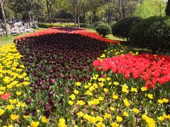 -上海鲜花港