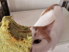 -一大糕点(纬六路店)