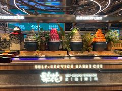 -梨花自助烤肉(西三旗万象汇黑金店)