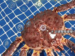 -三亚火车头万人海鲜广场