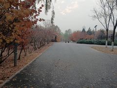 -永定河休闲森林公园