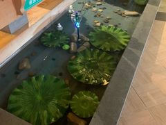 -绿岛汤泉韩式休闲会所