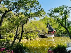 -上海醉白池公园
