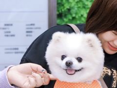 -gaga(深圳福田星河COCO Park店)