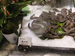 -川骄海鲜自助(亚运村店)