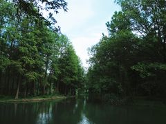 -西溪国家湿地公园