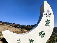 -紫鹊界梯田景区
