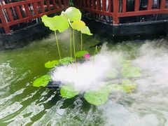 -濮园 · 四合院餐厅