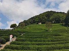 -国生茶庄·地道农家菜团建活动