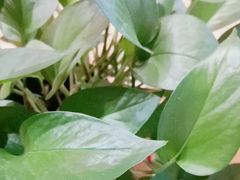 -佰推·肩颈腰·推拿理疗(湾悦城店)