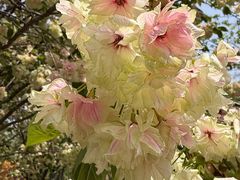 -江南大学(蠡湖校区)