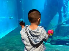 -华夏文旅西安度假区